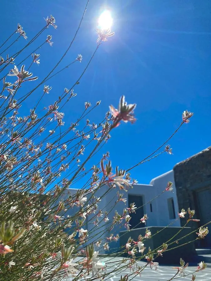 ***  Aegean Hospitality Bed and Breakfast Mykonos Town Grecia